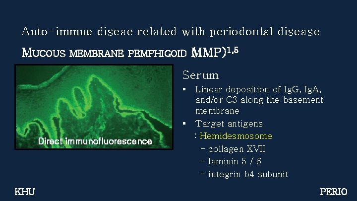 Auto-immue diseae related with periodontal disease MUCOUS MEMBRANE PEMPHIGOID (MMP)1, 5 Serum § Direct