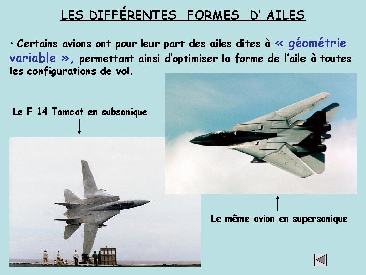 LES DIFFÉRENTES FORMES D’ AILES • Certains avions ont pour leur part des ailes