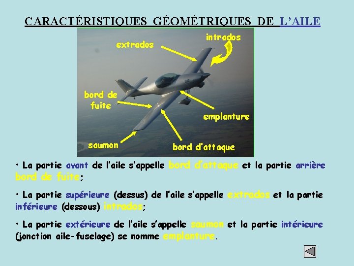 CARACTÉRISTIQUES GÉOMÉTRIQUES DE L’AILE extrados bord de fuite saumon intrados emplanture bord d’attaque •