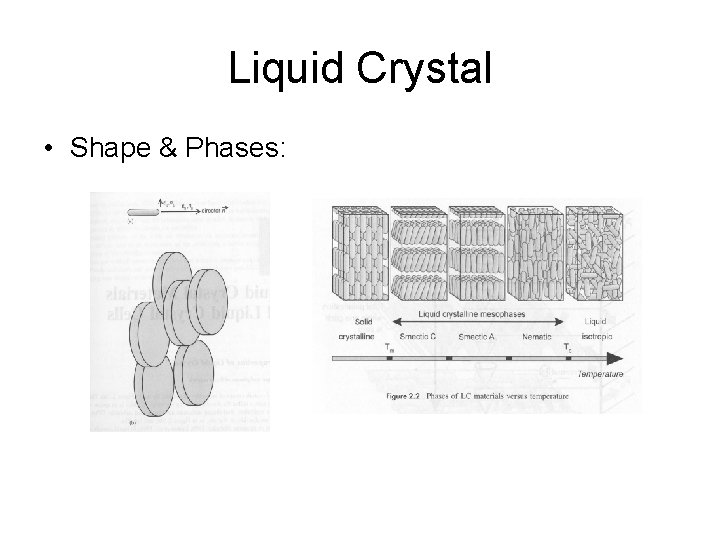Liquid Crystal • Shape & Phases: 