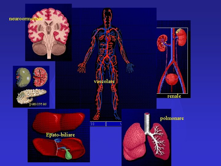 neuroormonale vascolare renale pancreas polmonare Epato-biliare 