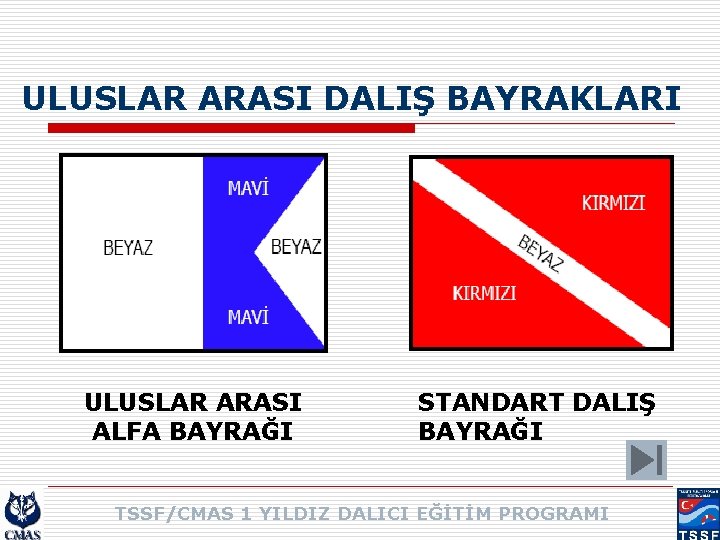 ULUSLAR ARASI DALIŞ BAYRAKLARI ULUSLAR ARASI ALFA BAYRAĞI STANDART DALIŞ BAYRAĞI TSSF/CMAS 1 YILDIZ