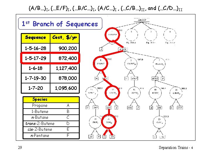 (A/B…)I, (…E/F)I, (…B/C…)I, (A/C…)I , (…C/B…)II, and (…C/D…)II 1 st Branch of Sequences Sequence