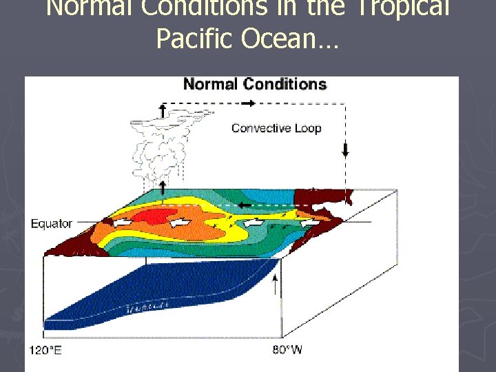 Normal Conditions in the Tropical Pacific Ocean… 
