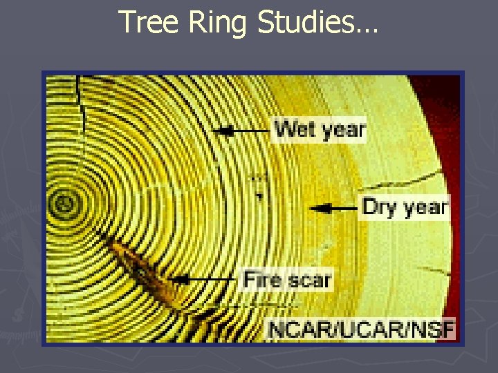 Tree Ring Studies… 