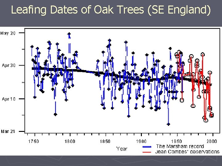 Leafing Dates of Oak Trees (SE England) 