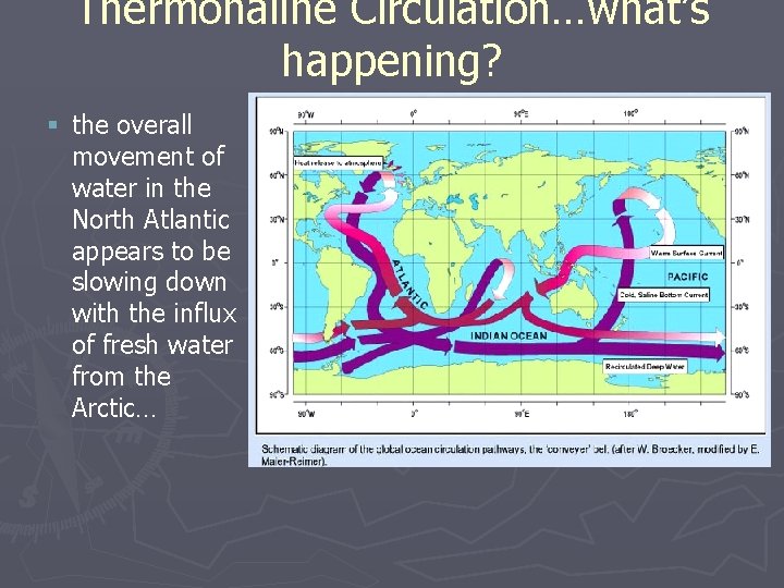 Thermohaline Circulation…what’s happening? § the overall movement of water in the North Atlantic appears