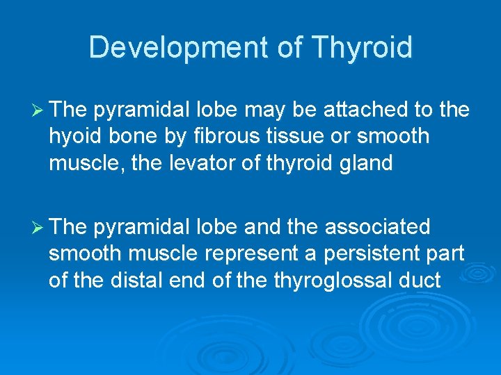 Development of Thyroid Ø The pyramidal lobe may be attached to the hyoid bone