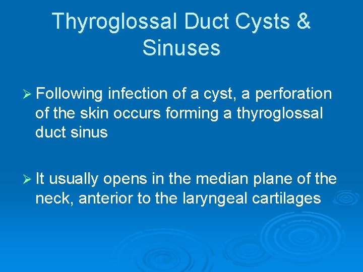 Thyroglossal Duct Cysts & Sinuses Ø Following infection of a cyst, a perforation of