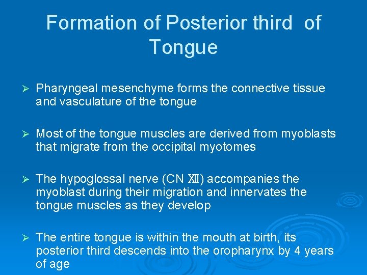 Formation of Posterior third of Tongue Ø Pharyngeal mesenchyme forms the connective tissue and
