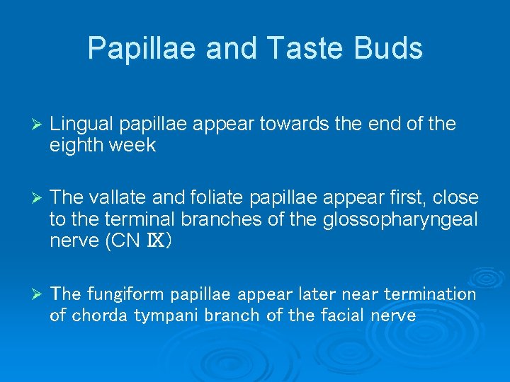 Papillae and Taste Buds Ø Lingual papillae appear towards the end of the eighth