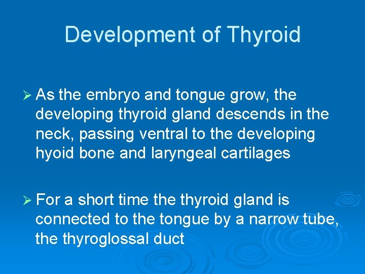 Development of Thyroid Ø As the embryo and tongue grow, the developing thyroid gland