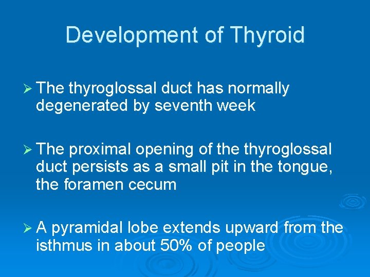 Development of Thyroid Ø The thyroglossal duct has normally degenerated by seventh week Ø
