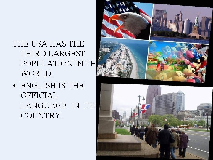 THE USA HAS THE THIRD LARGEST POPULATION IN THE WORLD. • ENGLISH IS THE