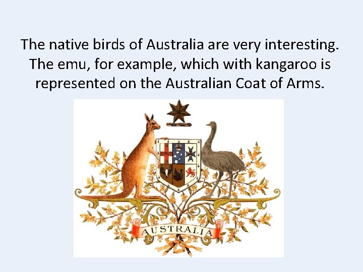 The native birds of Australia are very interesting. The emu, for example, which with