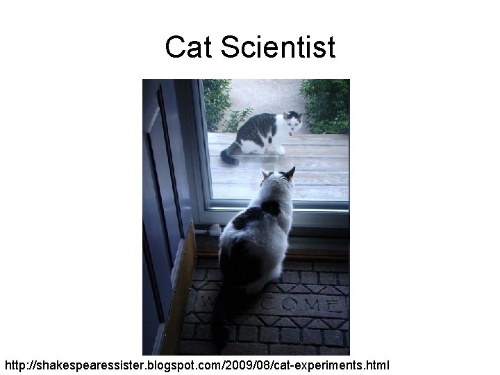 Cat Scientist http: //shakespearessister. blogspot. com/2009/08/cat-experiments. html 