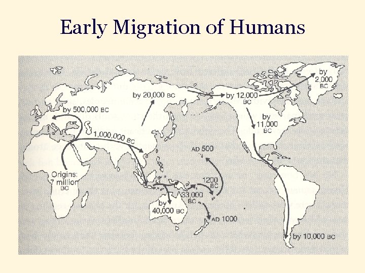 Early Migration of Humans 