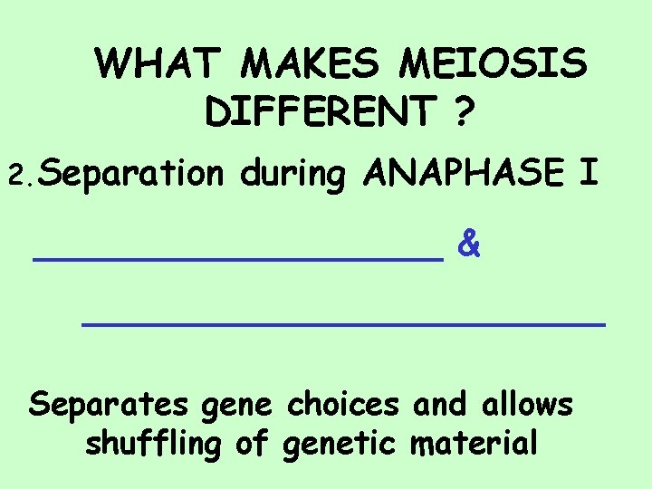 WHAT MAKES MEIOSIS DIFFERENT ? 2. Separation during ANAPHASE I _________ & ____________ Separates