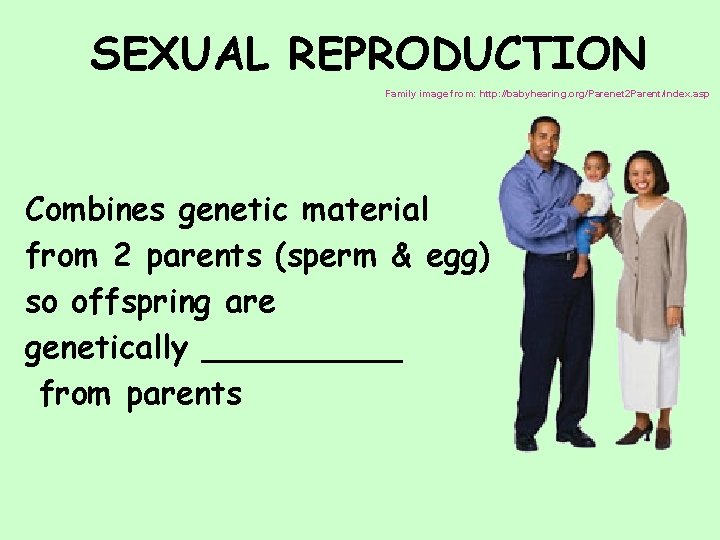 SEXUAL REPRODUCTION Family image from: http: //babyhearing. org/Parenet 2 Parent/index. asp Combines genetic material