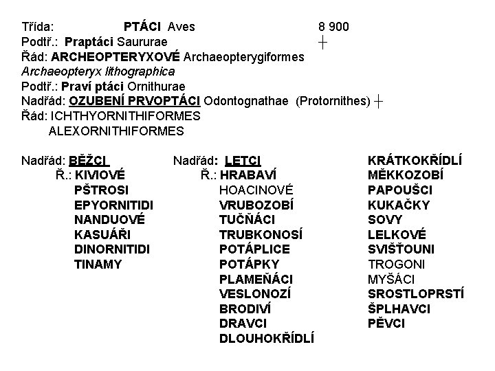 Třída: PTÁCI Aves 8 900 Podtř. : Praptáci Saururae ┼ Řád: ARCHEOPTERYXOVÉ Archaeopterygiformes Archaeopteryx