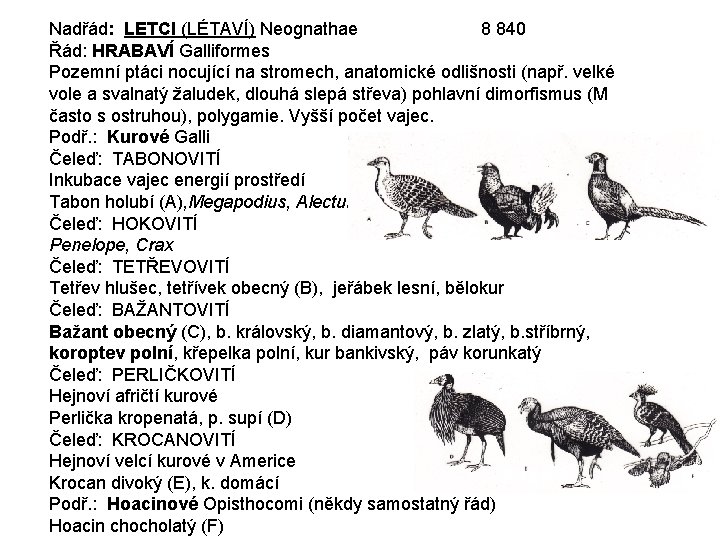 Nadřád: LETCI (LÉTAVÍ) Neognathae 8 840 Řád: HRABAVÍ Galliformes Pozemní ptáci nocující na stromech,