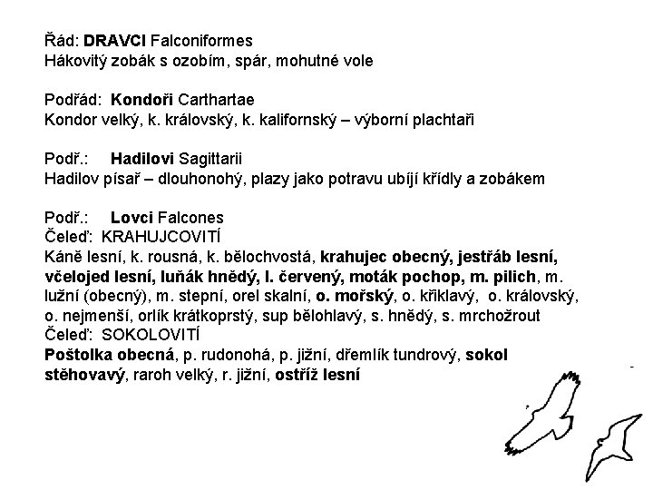 Řád: DRAVCI Falconiformes Hákovitý zobák s ozobím, spár, mohutné vole Podřád: Kondoři Carthartae Kondor