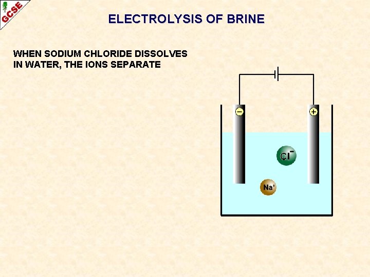 ELECTROLYSIS OF BRINE WHEN SODIUM CHLORIDE DISSOLVES IN WATER, THE IONS SEPARATE 