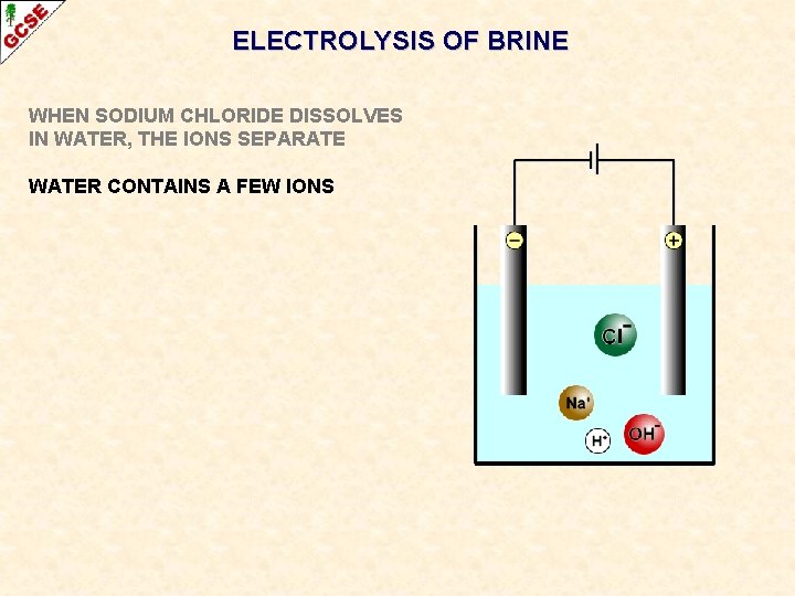 ELECTROLYSIS OF BRINE WHEN SODIUM CHLORIDE DISSOLVES IN WATER, THE IONS SEPARATE WATER CONTAINS