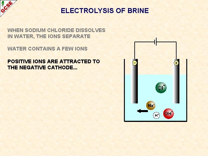 ELECTROLYSIS OF BRINE WHEN SODIUM CHLORIDE DISSOLVES IN WATER, THE IONS SEPARATE WATER CONTAINS