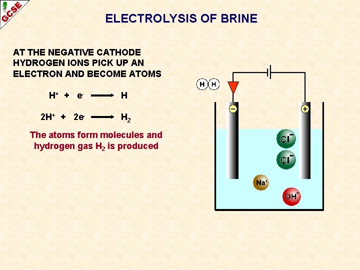 ELECTROLYSIS OF BRINE AT THE NEGATIVE CATHODE HYDROGEN IONS PICK UP AN ELECTRON AND