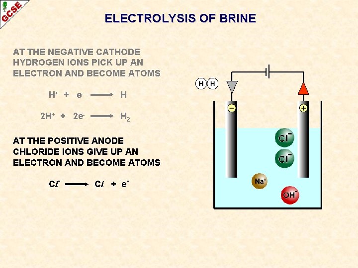 ELECTROLYSIS OF BRINE AT THE NEGATIVE CATHODE HYDROGEN IONS PICK UP AN ELECTRON AND