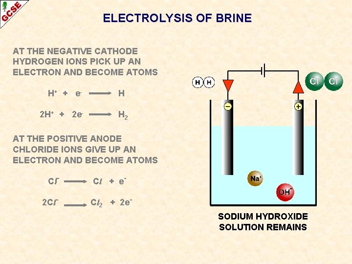 ELECTROLYSIS OF BRINE AT THE NEGATIVE CATHODE HYDROGEN IONS PICK UP AN ELECTRON AND