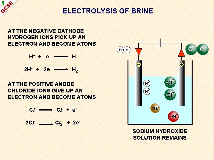ELECTROLYSIS OF BRINE AT THE NEGATIVE CATHODE HYDROGEN IONS PICK UP AN ELECTRON AND