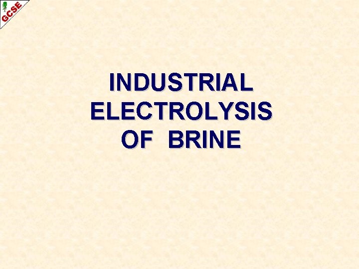INDUSTRIAL ELECTROLYSIS OF BRINE 