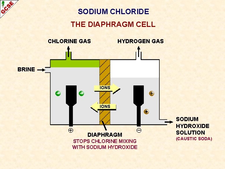 SODIUM CHLORIDE THE DIAPHRAGM CELL CHLORINE GAS HYDROGEN GAS BRINE IONS DIAPHRAGM STOPS CHLORINE