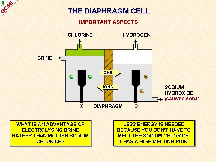 THE DIAPHRAGM CELL IMPORTANT ASPECTS CHLORINE HYDROGEN BRINE IONS SODIUM HYDROXIDE (CAUSTIC SODA) DIAPHRAGM