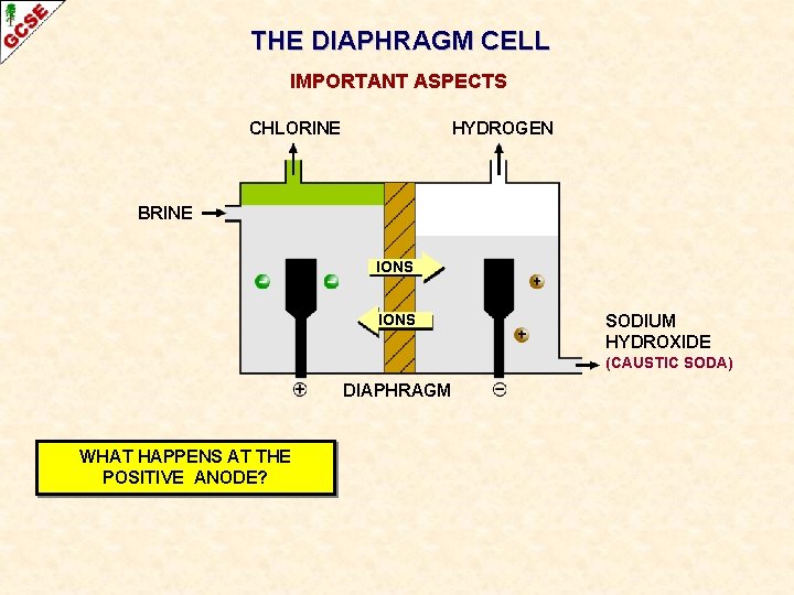 THE DIAPHRAGM CELL IMPORTANT ASPECTS CHLORINE HYDROGEN BRINE IONS SODIUM HYDROXIDE (CAUSTIC SODA) DIAPHRAGM