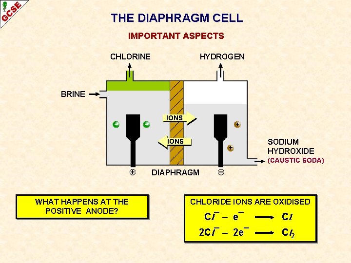 THE DIAPHRAGM CELL IMPORTANT ASPECTS CHLORINE HYDROGEN BRINE IONS SODIUM HYDROXIDE (CAUSTIC SODA) DIAPHRAGM