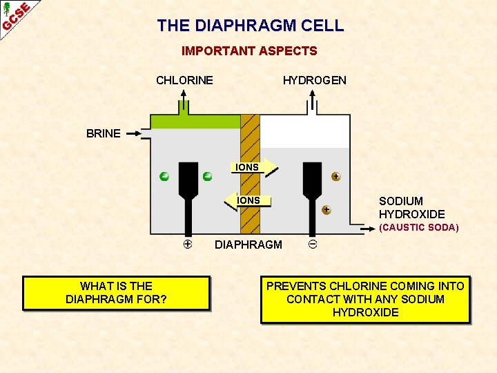 THE DIAPHRAGM CELL IMPORTANT ASPECTS CHLORINE HYDROGEN BRINE IONS SODIUM HYDROXIDE (CAUSTIC SODA) DIAPHRAGM