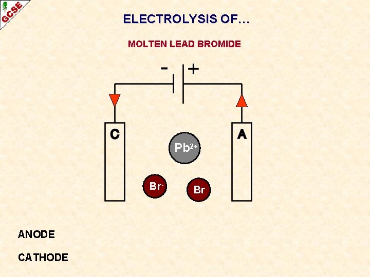 ELECTROLYSIS OF… MOLTEN LEAD BROMIDE Pb 2+ Br- ANODE CATHODE Br- 