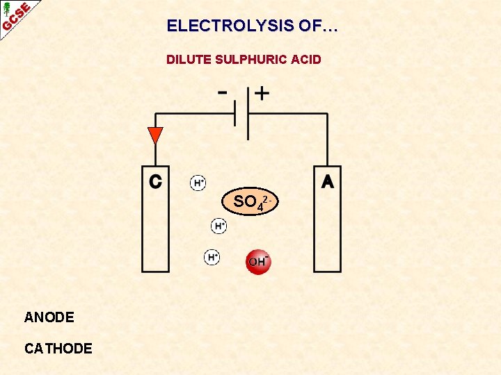 ELECTROLYSIS OF… DILUTE SULPHURIC ACID SO 42 - ANODE CATHODE 