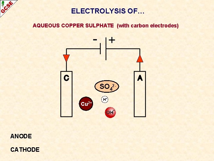 ELECTROLYSIS OF… AQUEOUS COPPER SULPHATE (with carbon electrodes) SO 42 Cu 2+ ANODE CATHODE