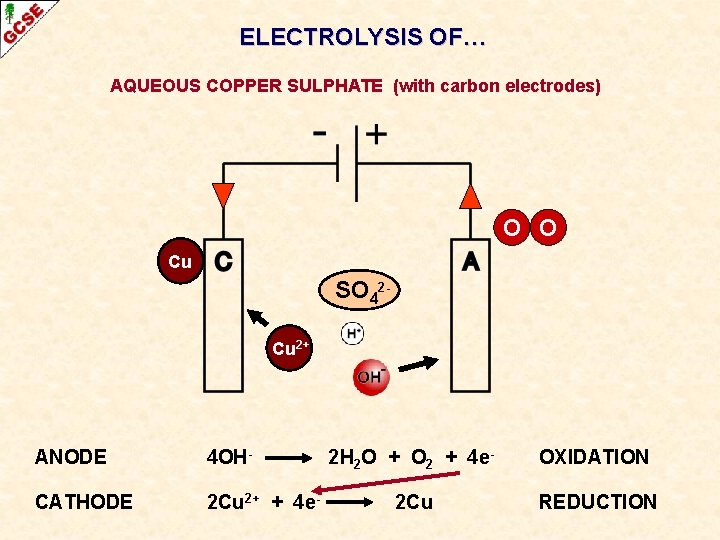 ELECTROLYSIS OF… AQUEOUS COPPER SULPHATE (with carbon electrodes) O O Cu SO 42 Cu