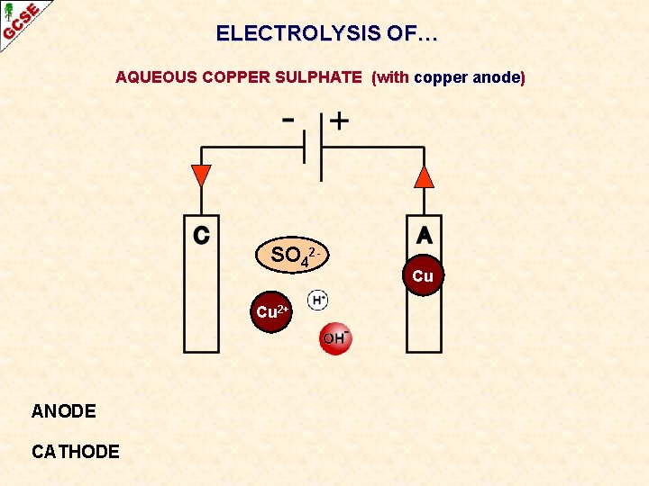 ELECTROLYSIS OF… AQUEOUS COPPER SULPHATE (with copper anode) SO 42 Cu 2+ ANODE CATHODE