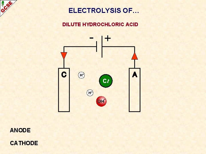 ELECTROLYSIS OF… DILUTE HYDROCHLORIC ACID Cl- ANODE CATHODE 