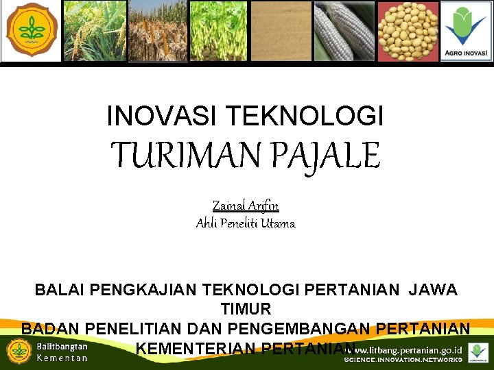 INOVASI TEKNOLOGI TURIMAN PAJALE Zainal Arifin Ahli Peneliti Utama BALAI PENGKAJIAN TEKNOLOGI PERTANIAN JAWA