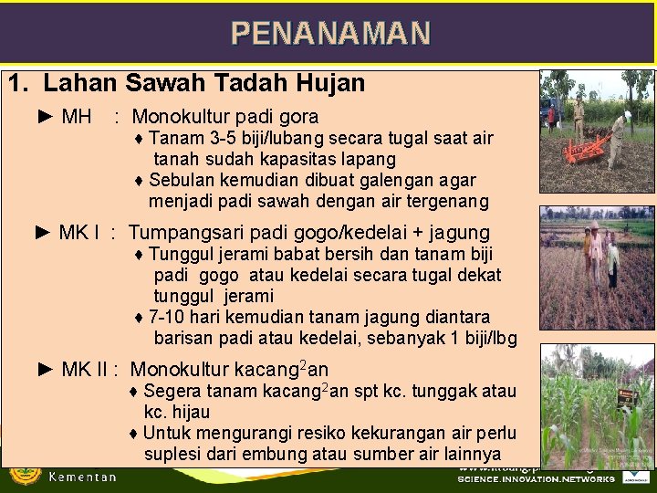 PENANAMAN 1. Lahan Sawah Tadah Hujan ► MH : Monokultur padi gora ♦ Tanam