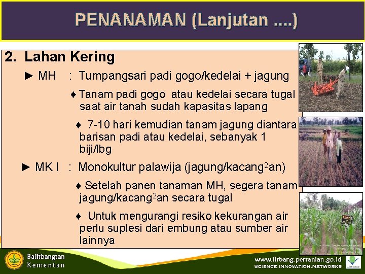 PENANAMAN (Lanjutan. . ) 2. Lahan Kering ► MH : Tumpangsari padi gogo/kedelai +