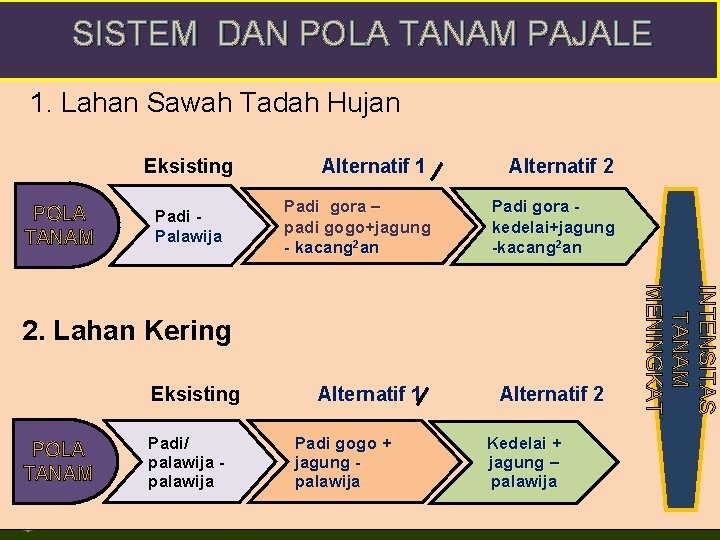 SISTEM DAN POLA TANAM PAJALE 1. Lahan Sawah Tadah Hujan Eksisting POLA TANAM Padi