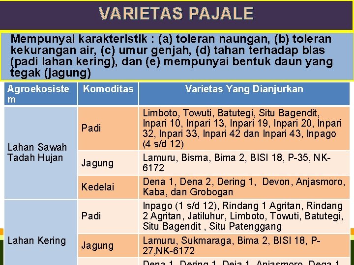 VARIETAS PAJALE Mempunyai karakteristik : (a) toleran naungan, (b) toleran kekurangan air, (c) umur